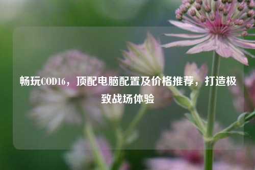 畅玩COD16,顶配电脑配置及价格推荐,打造极致战场体验