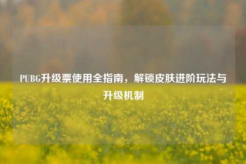 PUBG升级票使用全指南,解锁皮肤进阶玩法与升级机制