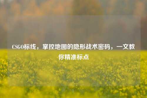 CSGO标线,掌控地图的隐形战术密码,一文教你精准标点