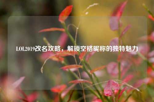LOL2019改名攻略,解锁空格昵称的独特魅力