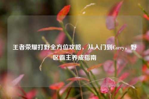 王者荣耀打野全方位攻略,从入门到Carry,野区霸主养成指南