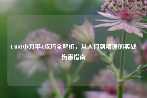 CSGO小刀平A技巧全解析,从入门到精通的实战伤害指南