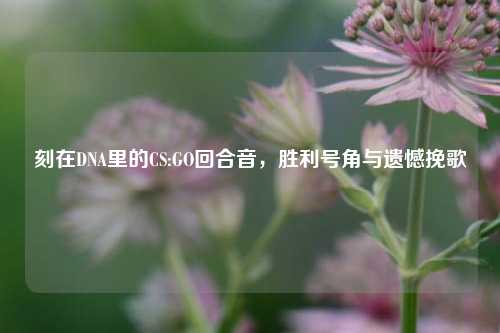 刻在DNA里的CS:GO回合音,胜利号角与遗憾挽歌