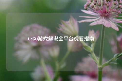 CSGO游戏解说全平台观看指南