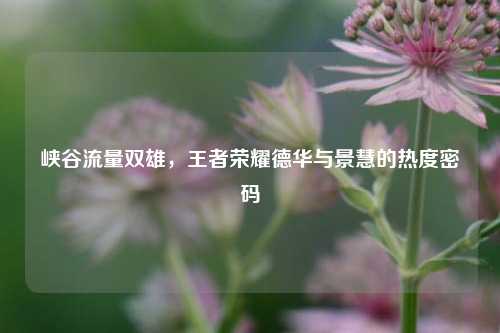 峡谷流量双雄,王者荣耀德华与景慧的热度密码