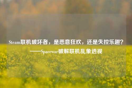 Steam联机破坏者,是恶意狂欢,还是失控乐趣?——Spacewar破解联机乱象透视