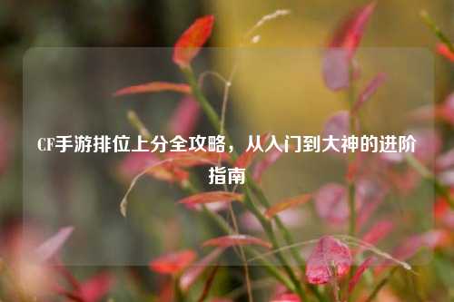 CF手游排位上分全攻略,从入门到大神的进阶指南
