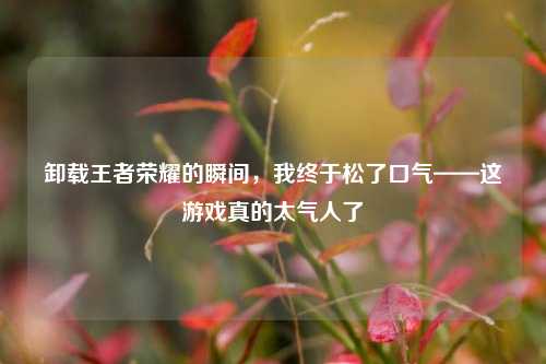 卸载王者荣耀的瞬间,我终于松了口气——这游戏真的太气人了
