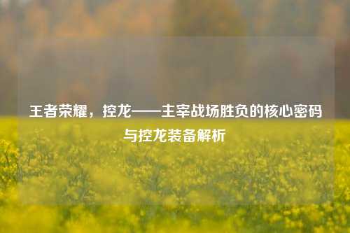 王者荣耀,控龙——主宰战场胜负的核心密码与控龙装备解析