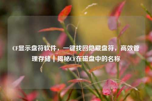 CF显示盘符软件,一键找回隐藏盘符,高效管理存储|揭秘CF在磁盘中的名称