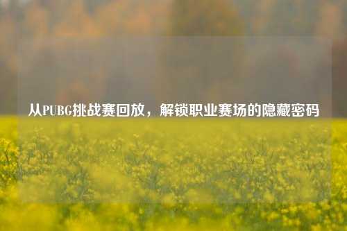 从PUBG挑战赛回放,解锁职业赛场的隐藏密码