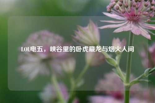 LOL电五,峡谷里的卧虎藏龙与烟火人间