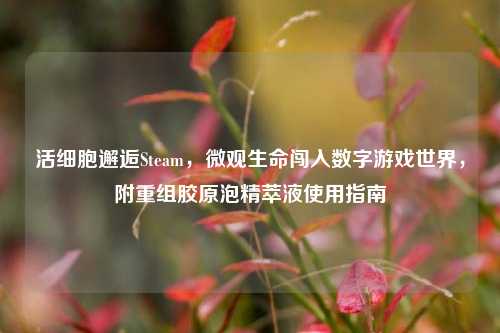 活细胞邂逅Steam,微观生命闯入数字游戏世界,附重组胶原泡精萃液使用指南