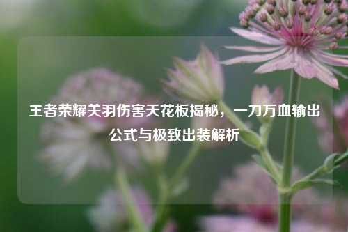 王者荣耀关羽伤害天花板揭秘,一刀万血输出公式与极致出装解析