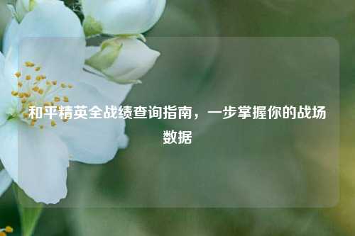 和平精英全战绩查询指南,一步掌握你的战场数据