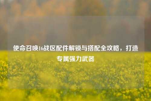 使命召唤16战区配件解锁与搭配全攻略,打造专属强力武器