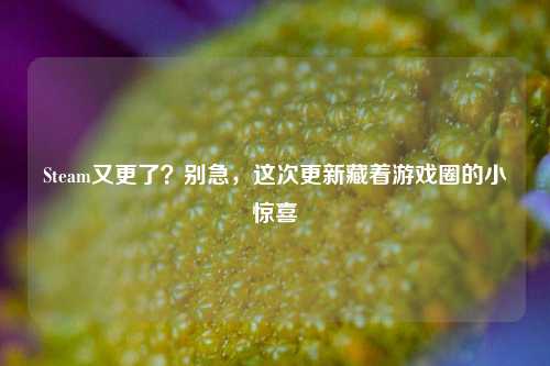 Steam又更了?别急,这次更新藏着游戏圈的小惊喜