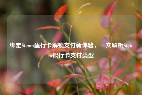 绑定Steam建行卡解锁支付新体验,一文解析Steam银行卡支付类型