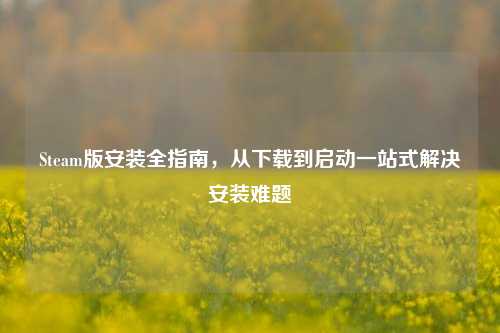 Steam版安装全指南,从下载到启动一站式解决安装难题