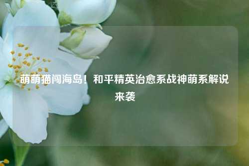 萌萌猫闯海岛!和平精英治愈系战神萌系解说来袭