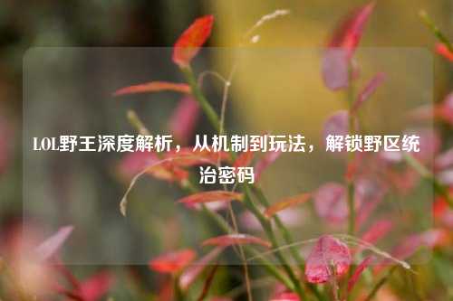LOL野王深度解析,从机制到玩法,解锁野区统治密码