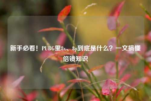新手必看!PUBG里8x、8p到底是什么?一文搞懂倍镜知识
