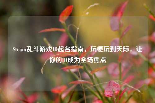 Steam乱斗游戏ID起名指南,玩梗玩到天际,让你的ID成为全场焦点