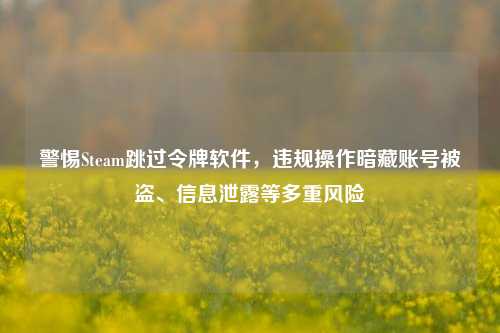 警惕Steam跳过令牌软件,违规操作暗藏账号被盗、信息泄露等多重风险