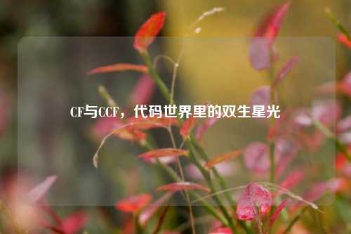 CF与CCF,代码世界里的双生星光