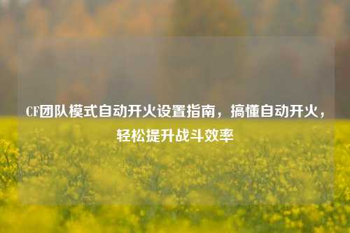 CF团队模式自动开火设置指南,搞懂自动开火,轻松提升战斗效率