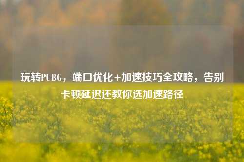 玩转PUBG,端口优化+加速技巧全攻略,告别卡顿延迟还教你选加速路径