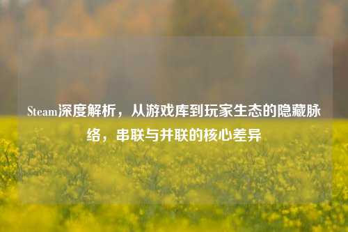Steam深度解析,从游戏库到玩家生态的隐藏脉络,串联与并联的核心差异