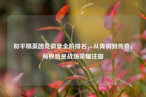 和平精英团竞徽章全阶排名,从青铜到传奇,每枚皆是战场荣耀注脚