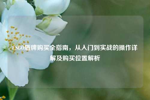 CSGO盾牌购买全指南,从入门到实战的操作详解及购买位置解析