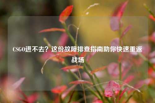 CSGO进不去?这份故障排查指南助你快速重返战场