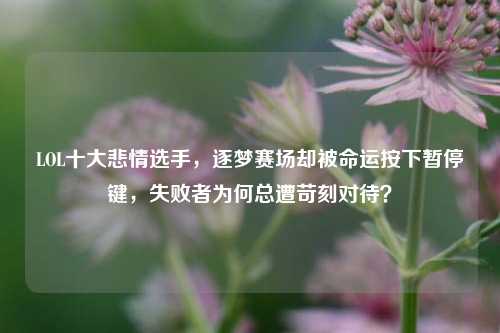LOL十大悲情选手,逐梦赛场却被命运按下暂停键,失败者为何总遭苛刻对待?