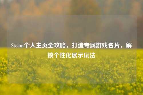 Steam个人主页全攻略,打造专属游戏名片,解锁个性化展示玩法