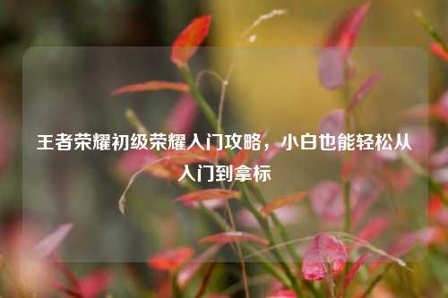 王者荣耀初级荣耀入门攻略,小白也能轻松从入门到拿标