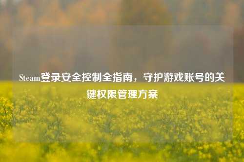 Steam登录安全控制全指南,守护游戏账号的关键权限管理方案
