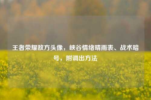 王者荣耀敌方头像,峡谷情绪晴雨表、战术暗号,附调出