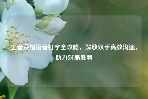 王者荣耀语音打字全攻略,解放双手高效沟通,助力对局胜利
