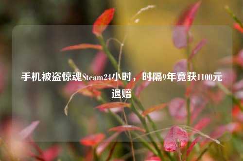 手机被盗惊魂Steam24小时,时隔9年竟获1100元退赔