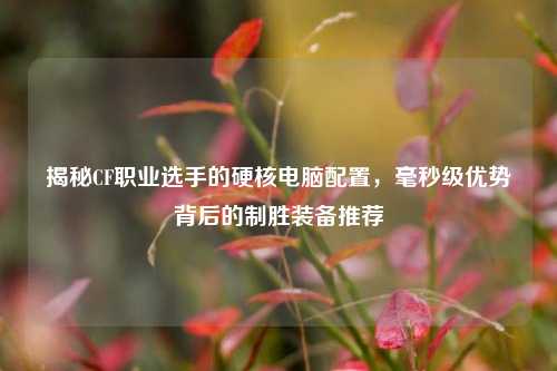 揭秘CF职业选手的硬核电脑配置,毫秒级优势背后的制胜装备推荐