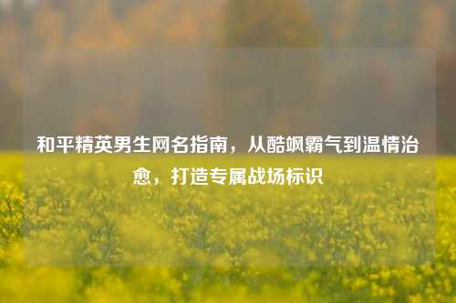 和平精英男生网名指南,从酷飒霸气到温情治愈,打造专属战场标识