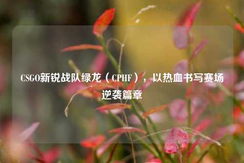 CSGO新锐战队绿龙(CPHF),以热***写赛场逆袭篇章