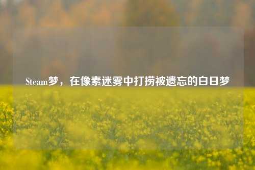 Steam梦,在像素迷雾中打捞被遗忘的白日梦
