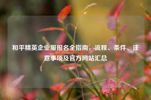 和平精英企业服报名全指南,流程、条件、注意事项及官方网站汇总