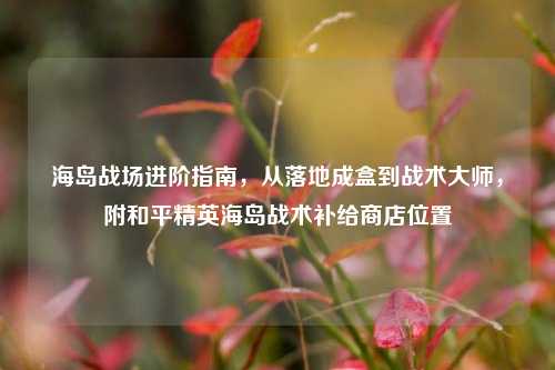 海岛战场进阶指南,从落地成盒到战术***,附和平精英海岛战术补给商店位置