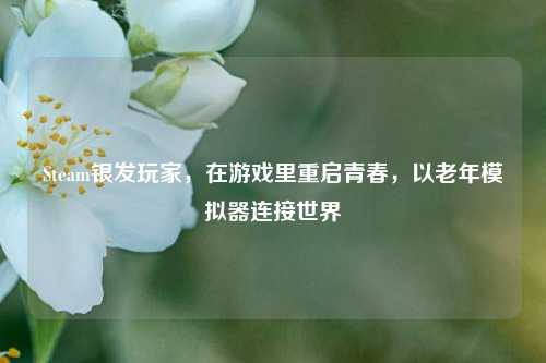 Steam银发玩家,在游戏里重启青春,以老年模拟器连接世界