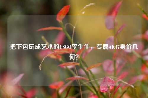 把下包玩成艺术的CSGO李牛牛,专属AK47身价几何?